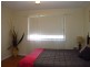 915 Blue Springs Road, Gulgong NSW 2852