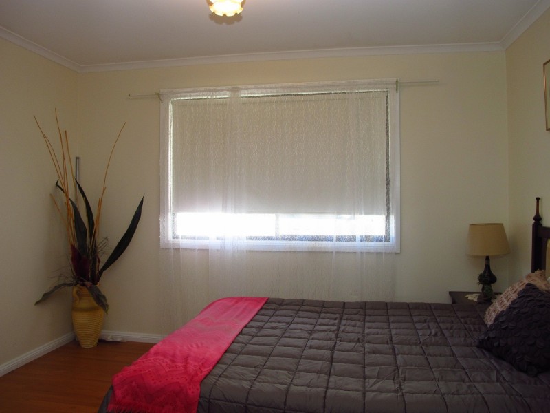 915 Blue Springs Road, Gulgong NSW 2852