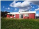 915 Blue Springs Road, Gulgong NSW 2852