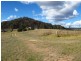 915 Blue Springs Road, Gulgong NSW 2852