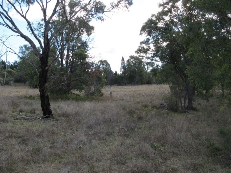 ‘Bobadah’ 1479 Ulan Road, Mudgee NSW 2850