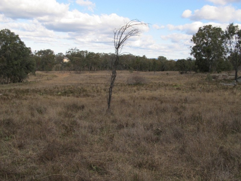 ‘Bobadah’ 1479 Ulan Road, Mudgee NSW 2850