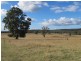 “Glenwarri” Ulan Road, Mudgee NSW 2850