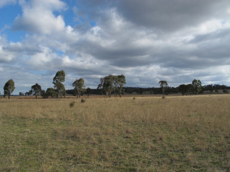 “Glenwarri” Ulan Road, Mudgee NSW 2850