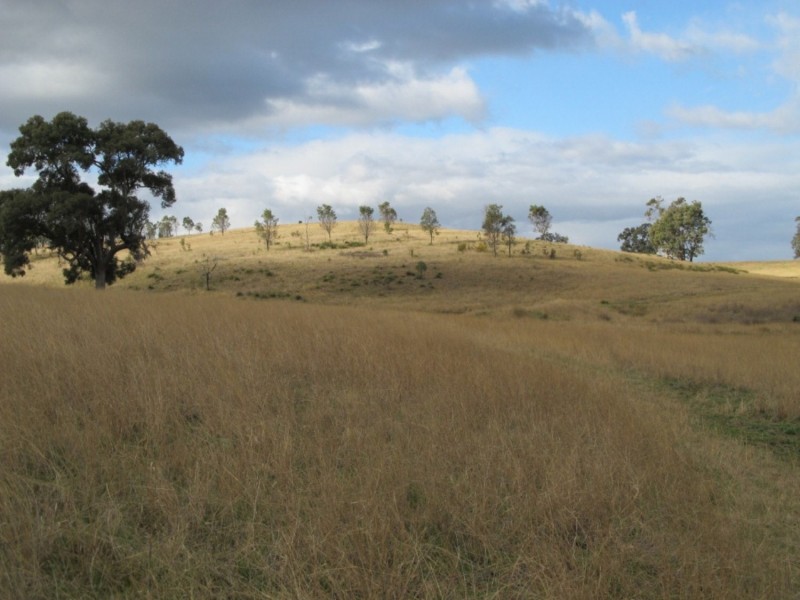 “Glenwarri” Ulan Road, Mudgee NSW 2850