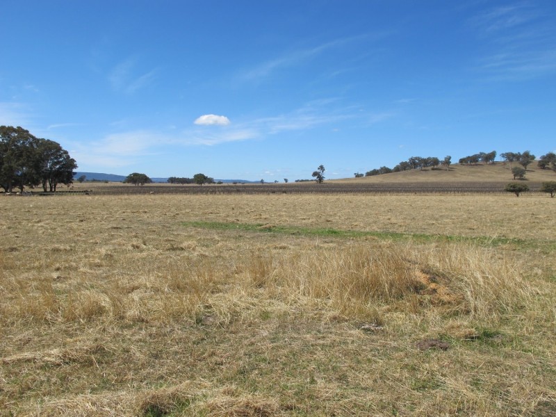 164 Grimshaw Lane, Gulgong NSW 2852