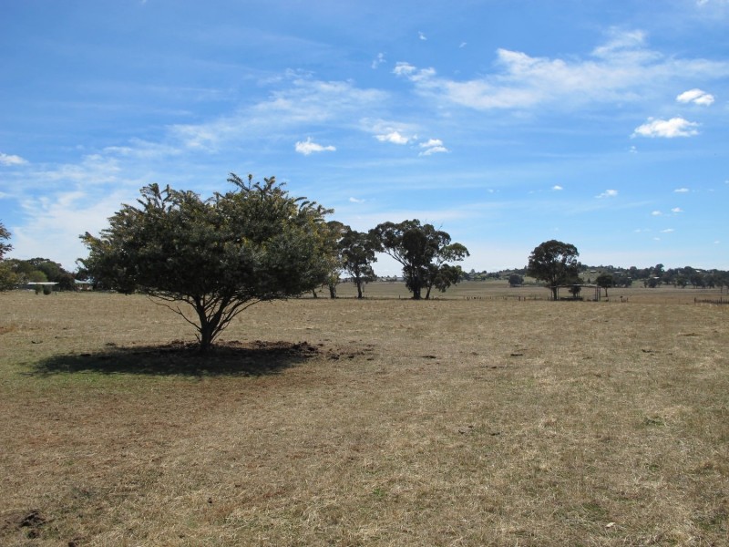 164 Grimshaw Lane, Gulgong NSW 2852