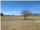 164 Grimshaw Lane, Gulgong NSW 2852