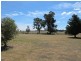 164 Grimshaw Lane, Gulgong NSW 2852