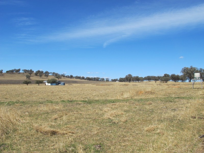 164 Grimshaw Lane, Gulgong NSW 2852