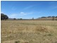 164 Grimshaw Lane, Gulgong NSW 2852