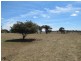 164 Grimshaw Lane, Gulgong NSW 2852