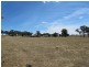 164 Grimshaw Lane, Gulgong NSW 2852