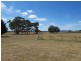 164 Grimshaw Lane, Gulgong NSW 2852