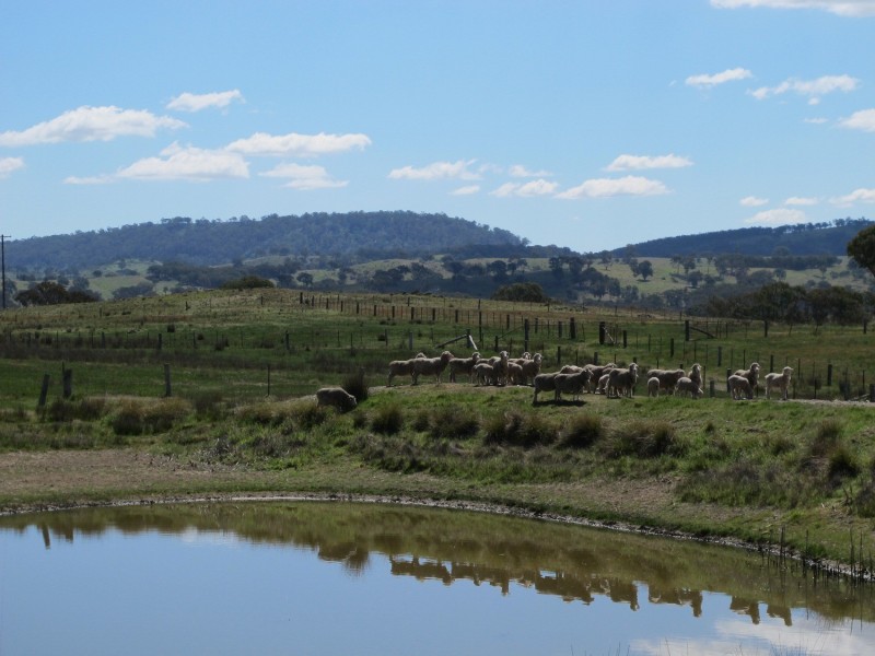 63 Prices Lane, Mudgee NSW 2850