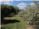 63 Prices Lane, Mudgee NSW 2850