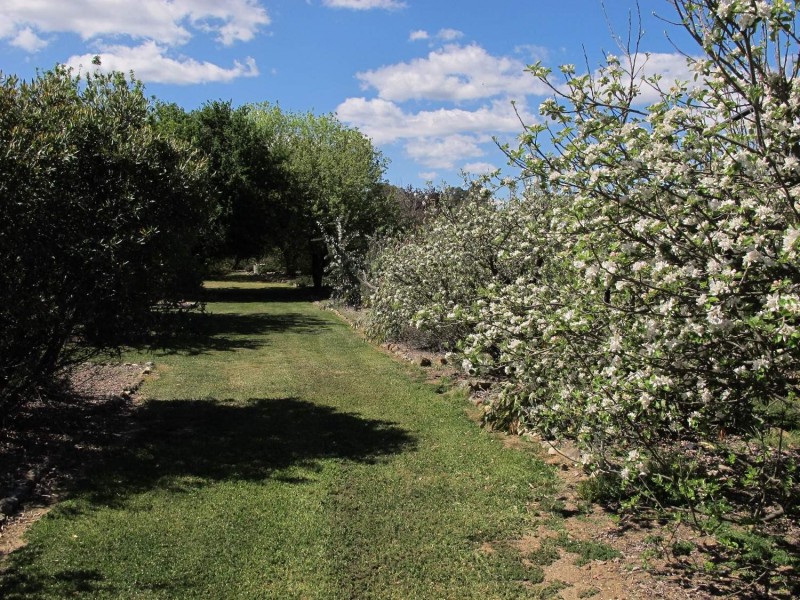 63 Prices Lane, Mudgee NSW 2850