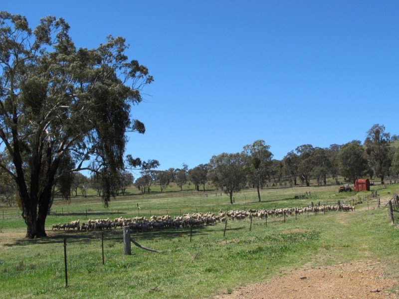 168 Clarkes Creek Road, Mudgee NSW 2850