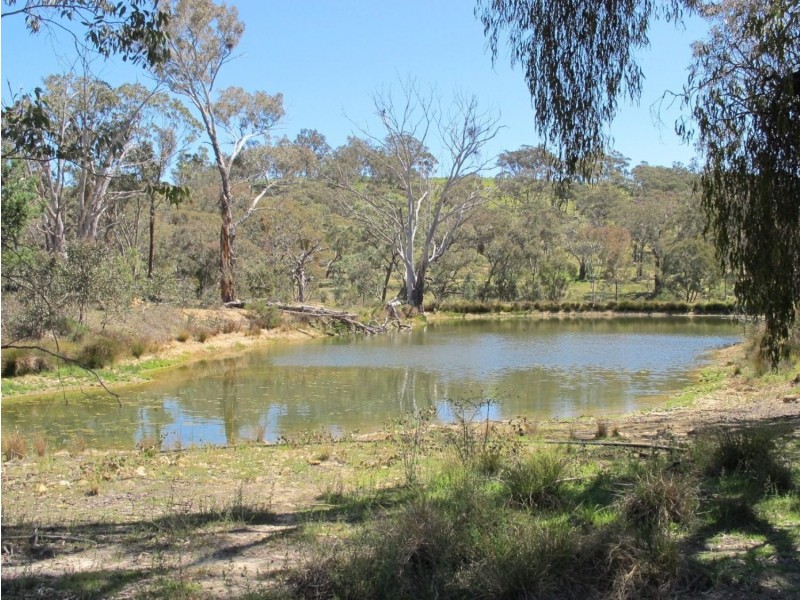 168 Clarkes Creek Road, Mudgee NSW 2850