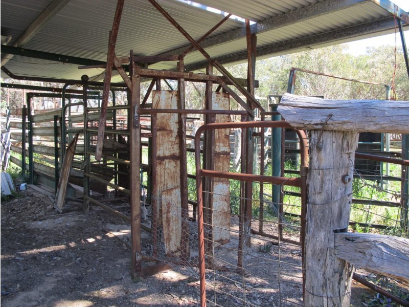 168 Clarkes Creek Road, Mudgee NSW 2850