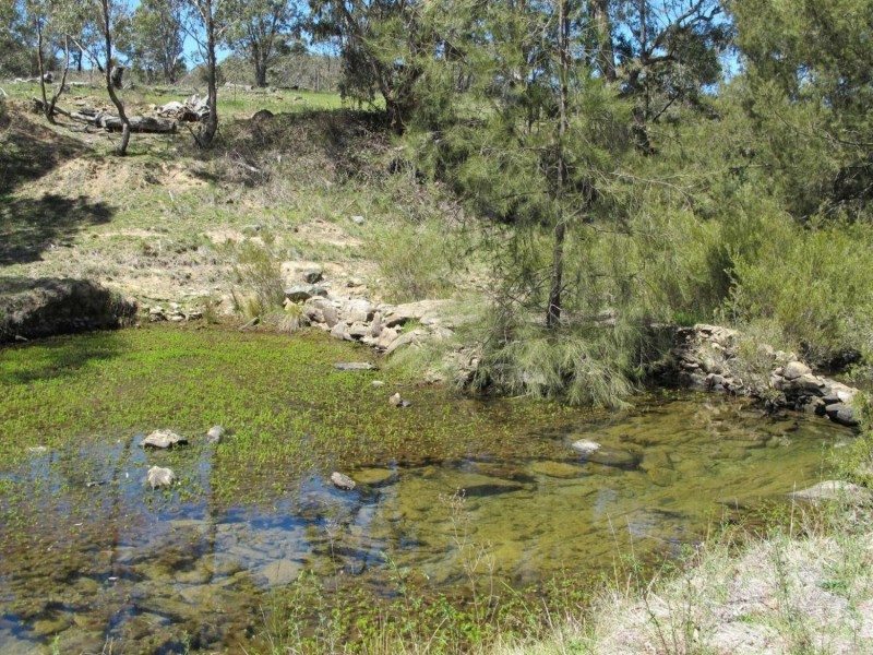 168 Clarkes Creek Road, Mudgee NSW 2850