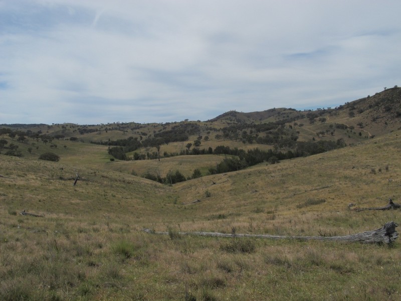 920 Windeyer Road, Mudgee NSW 2850