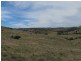 920 Windeyer Road, Mudgee NSW 2850