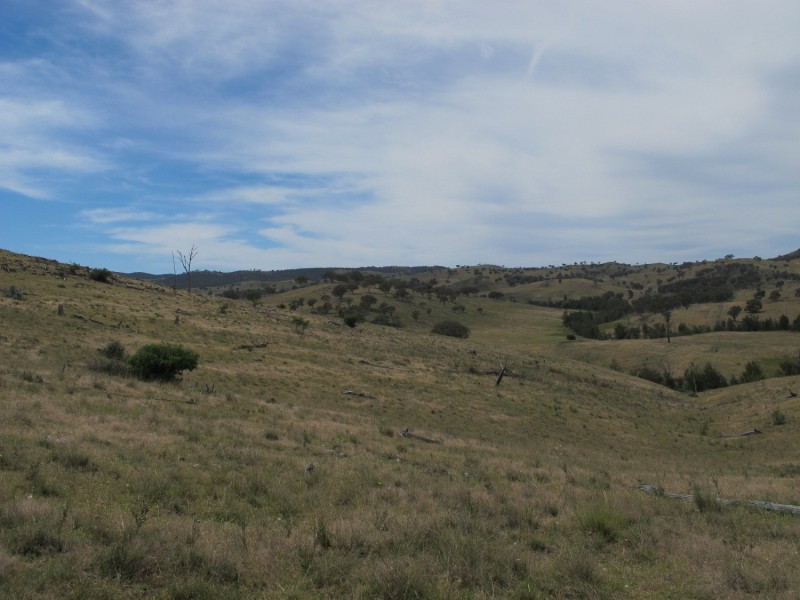 920 Windeyer Road, Mudgee NSW 2850
