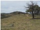920 Windeyer Road, Mudgee NSW 2850