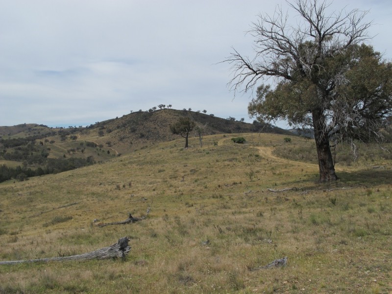 920 Windeyer Road, Mudgee NSW 2850
