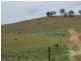 920 Windeyer Road, Mudgee NSW 2850
