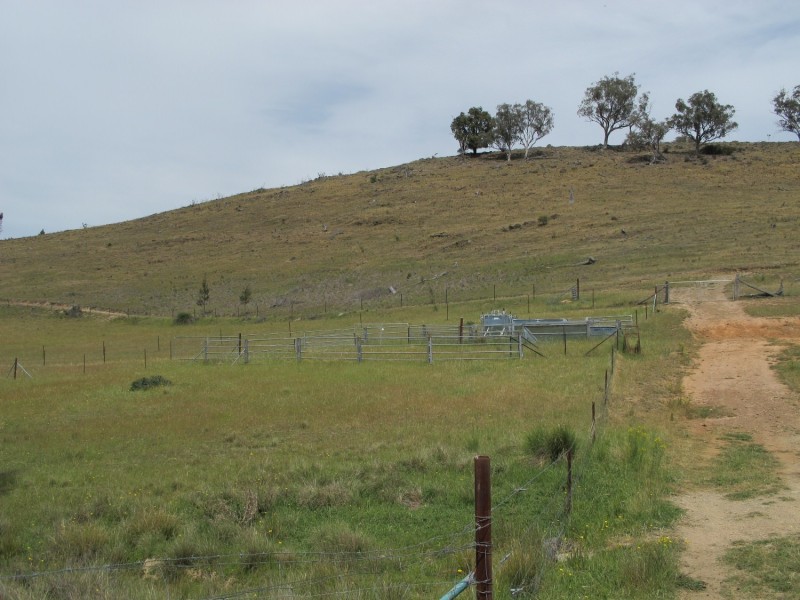 920 Windeyer Road, Mudgee NSW 2850
