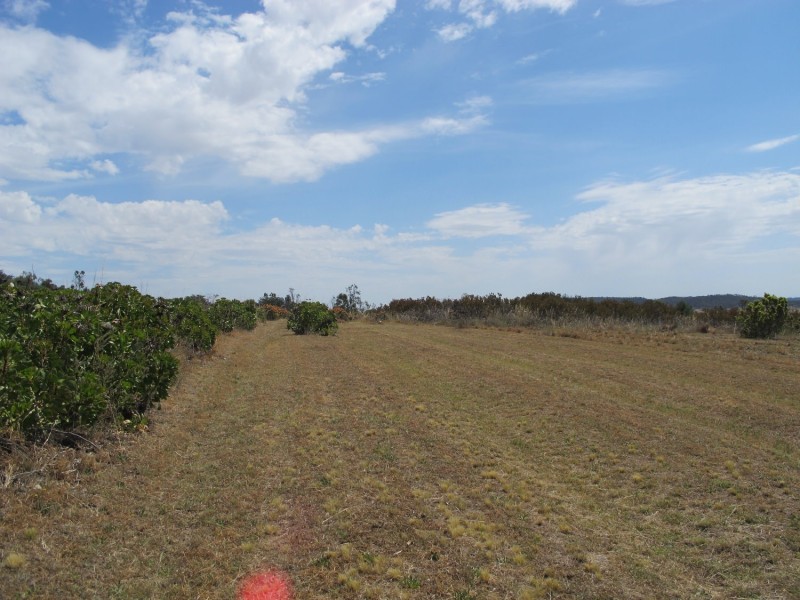 2883 Ulan Road, Mudgee NSW 2850