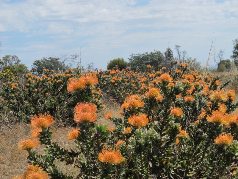 2883 Ulan Road, Mudgee NSW 2850