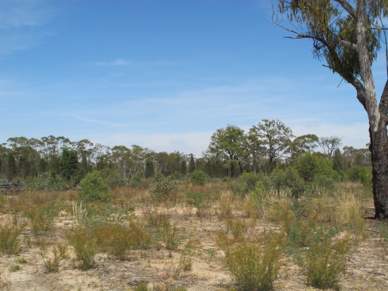 1096 Yarrawonga Road, Mudgee NSW 2850