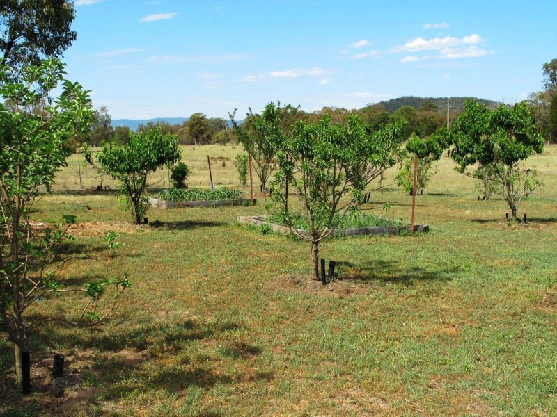 502 Black Springs Road, Mudgee NSW 2850