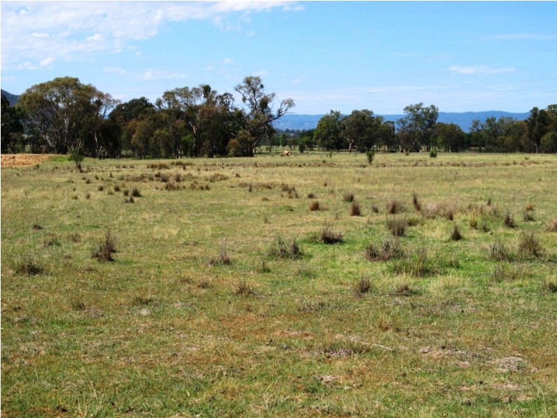 502 Black Springs Road, Mudgee NSW 2850