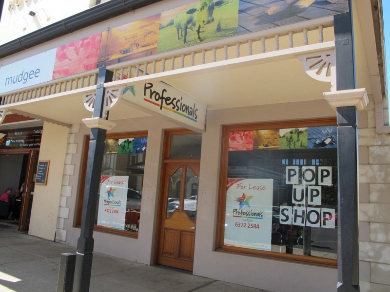 91 Market Street, Mudgee NSW 2850