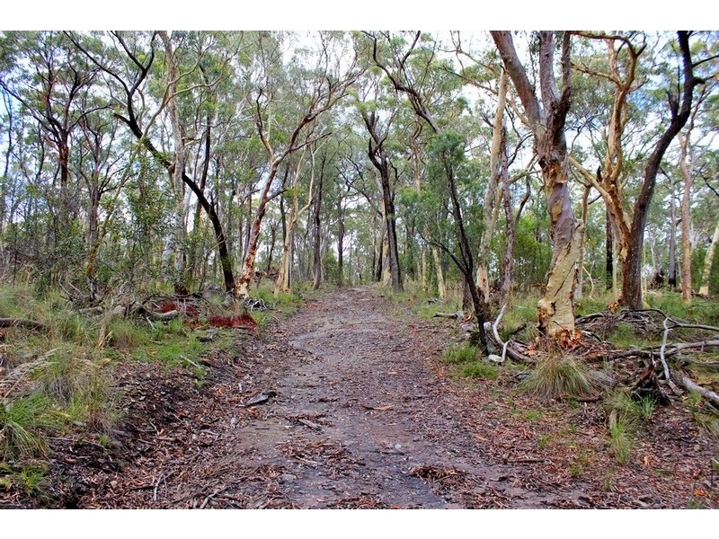 728 Bocoble Road, Mudgee NSW 2850