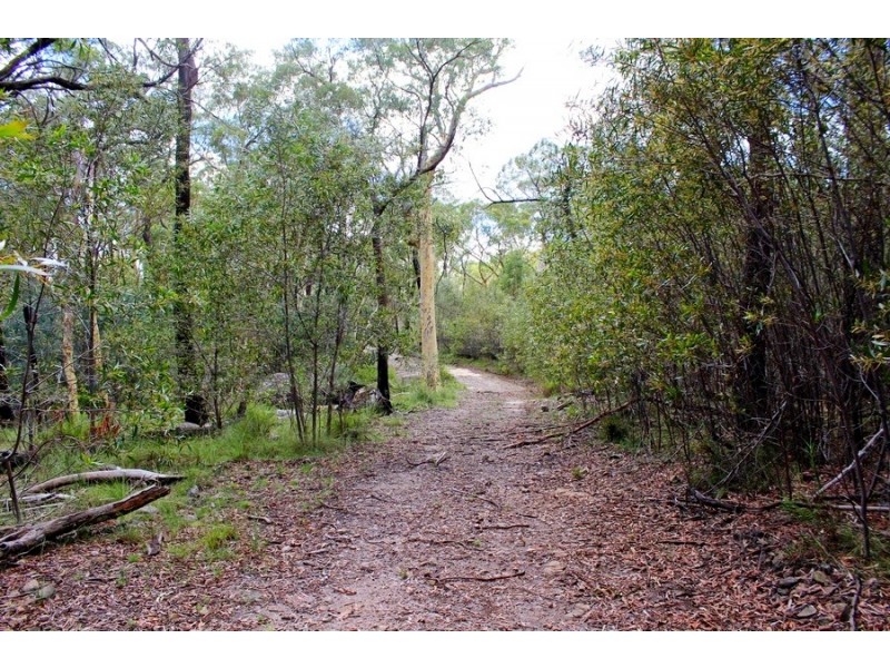 728 Bocoble Road, Mudgee NSW 2850