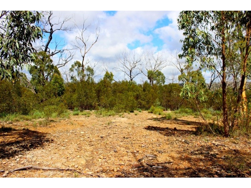 728 Bocoble Road, Mudgee NSW 2850