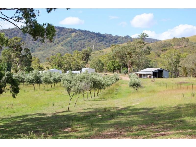 1466 Campbells Creek Road, Mudgee NSW 2850