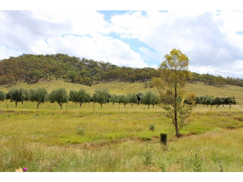 1466 Campbells Creek Road, Mudgee NSW 2850