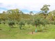 1466 Campbells Creek Road, Mudgee NSW 2850