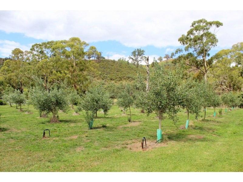1466 Campbells Creek Road, Mudgee NSW 2850