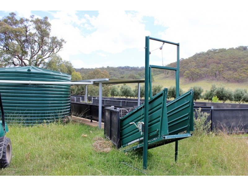 1466 Campbells Creek Road, Mudgee NSW 2850
