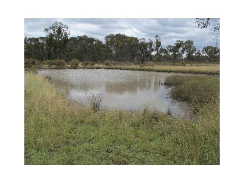 1029 Spring Creek Road, Mudgee NSW 2850