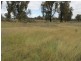 1029 Spring Creek Road, Mudgee NSW 2850