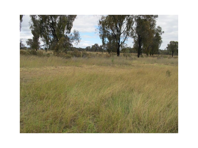 1029 Spring Creek Road, Mudgee NSW 2850