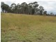 1029 Spring Creek Road, Mudgee NSW 2850